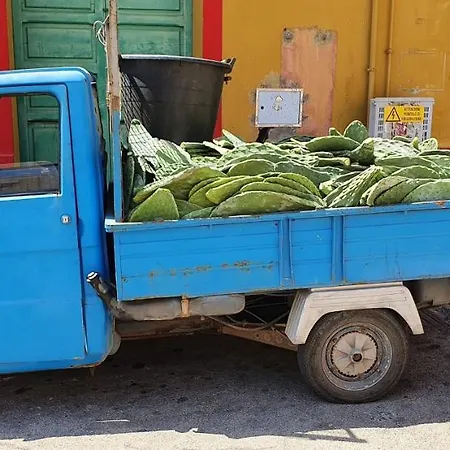 Il Maestro Di Nodi - Casa Vista Mare Lampedusa