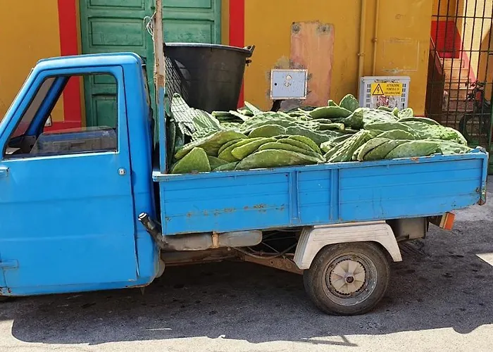 Il Maestro Di Nodi - Casa Vista Mare Lampedusa
