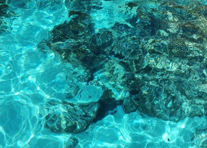 Il Maestro Di Nodi - Casa Vista Mare *